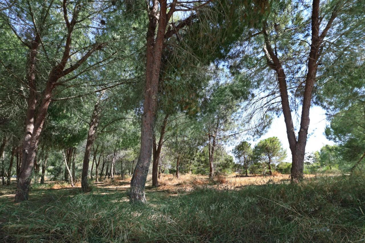 Cozy Holiday Apartment In Larnaca Near Foinikoudes Luaran gambar